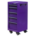 16-Inch 5-Drawer Rolling Salon Cart